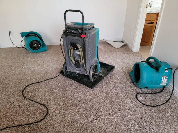 Best Water damage mitigation services  in Marlton, NJ