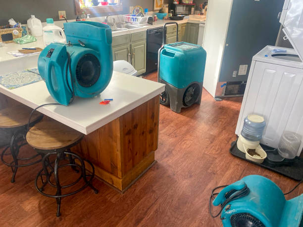 Best 24-hour water damage restoration  in Marlton, NJ