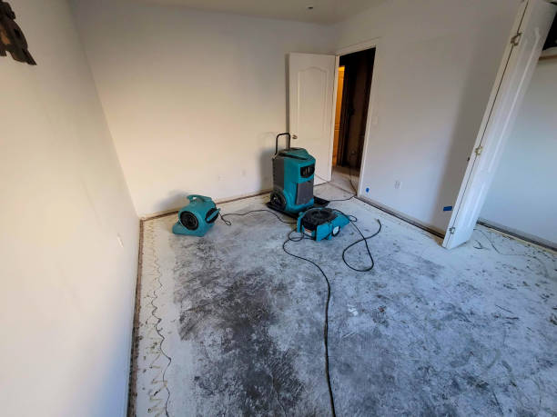 Best Flooded house restoration  in Marlton, NJ