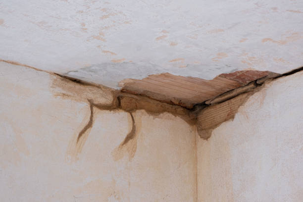 Best 24/7 water damage repair  in Marlton, NJ