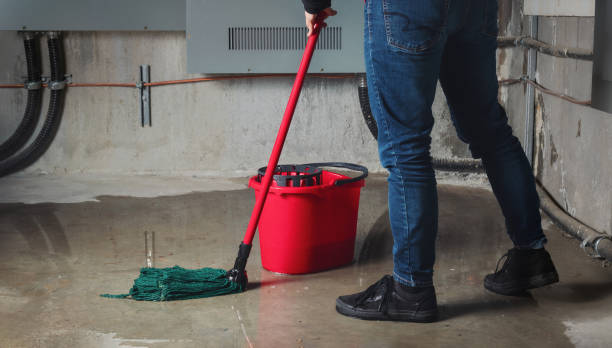 Best Water damage restoration near me  in Marlton, NJ