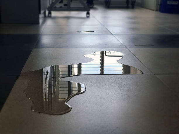 Best Professional water damage repair  in Marlton, NJ