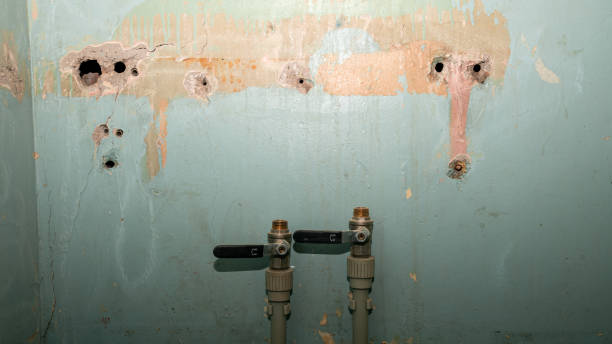 Best Residential water damage restoration  in Marlton, NJ