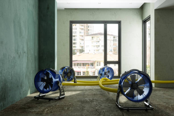 Best Carpet water damage restoration  in Marlton, NJ